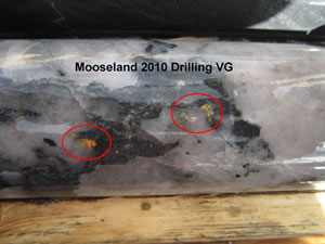 Mooseland quartz vein with visible gold