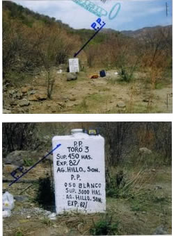 Corner post on the staked land near Dios Padre