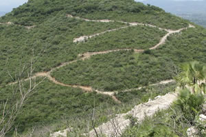 Cerro Jumil gold property