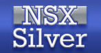 The NSX Silver logo